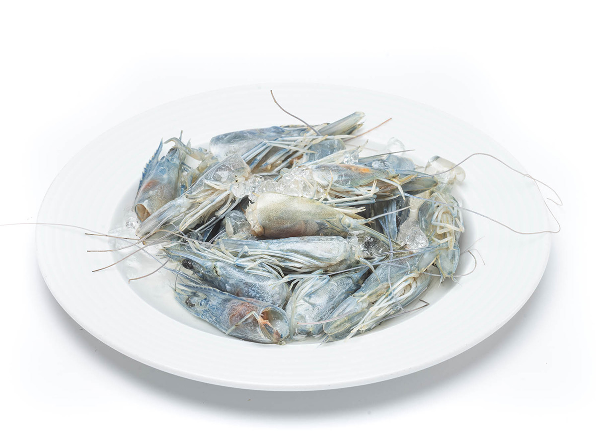 SwissShrimp Köpfe, ca. 5kg in Karton (tiefgekühlt angeliefert)
